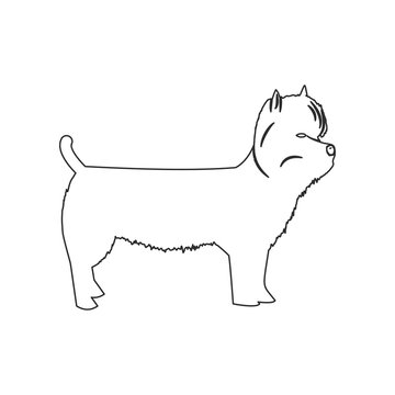 West Highland Terrier icon. Element of dog for mobile concept and web apps icon. Outline, thin line icon for website design and development, app development