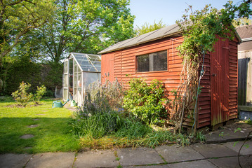 Shed and greenhouse, English back garden,summer time.