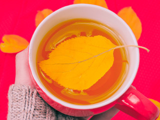Cup of coffee, dry cracker cookies and dry leaves on an orange background. Autumn background, flat lay. Autumn composition. Autumn mood, top view. Cup of autumn coffee and yellow dry leaves.