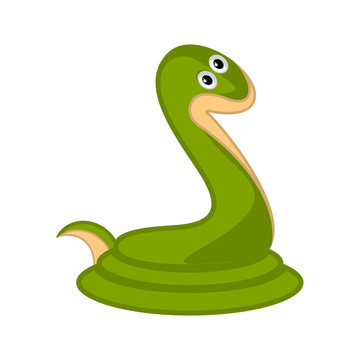 Isolated cute snake on white background - Vector