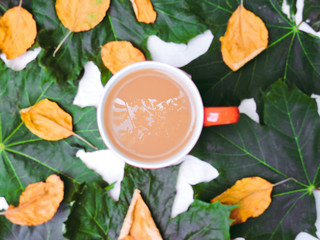Obraz premium Cup of coffee, dry cracker cookies and dry leaves on an orange background. Autumn background, flat lay. Autumn composition. Autumn mood, top view. Cup of autumn coffee and yellow dry leaves.