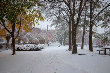 Winter in Brooklyn