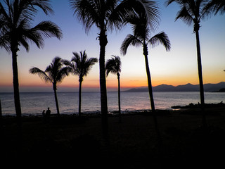 Palm trees an sunset in Puerto del Carmen, Lanzarote, Canary Islands.