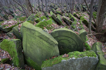Abandoned gravestones Lodz Jewish Cemetery. A desecrated and overgrown area of the cemetery with...