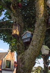 Tree full of houses