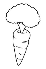 Carrot food vegetable healthy isolated black and white