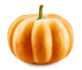 Pumpkin isolated on white