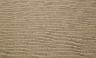 Fototapeta na wymiar Sand texture background