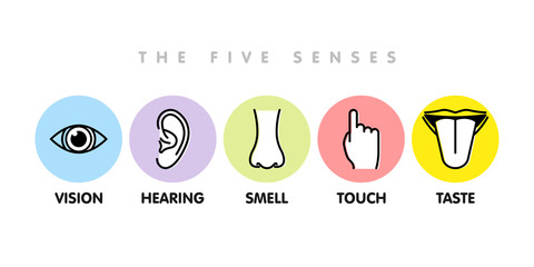 Icon set of five human senses: vision - eye , smell - nose , hearing - ear , touch - hand , taste - mouth with tongue . Simple line icons and color circles, vector illustration