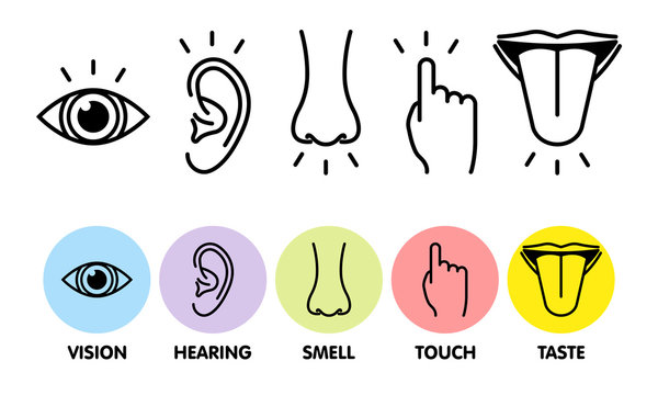 Icon set of five human senses: vision - eye , smell - nose , hearing - ear , touch - hand , taste - mouth with tongue . Simple line icons and color circles, vector illustration