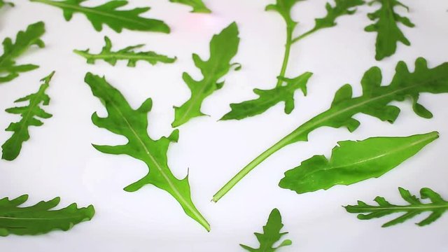 Ruccola ruccolas on rotating plate seamless looping hd background cover video