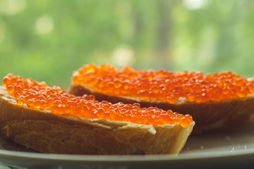 Macro photo of red caviar on a white and rye bread sandwich