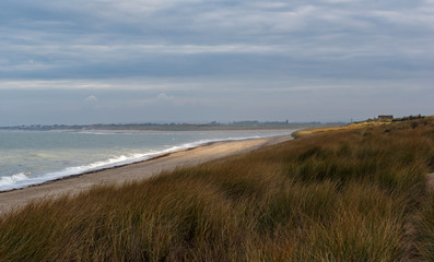 Fototapeta na wymiar Sand dunes of the Cotentin coast in Normandy