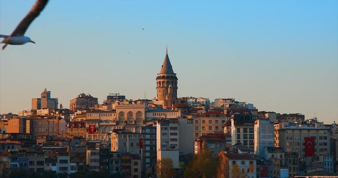 Galata Tower in istanbul City of Turkey.  View of the Istanbul City of Turkey with bosphorus, seagulls and boats.