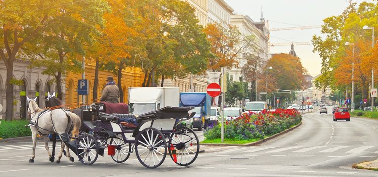 Famous traditional horse drawn fiaker carrige in the old historic center street of Vienna, Austria. Everyday life of evropean culture capital near Hofburg palace. Travel vacation in Vienna, Austria.