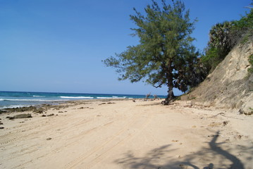 Mozambique