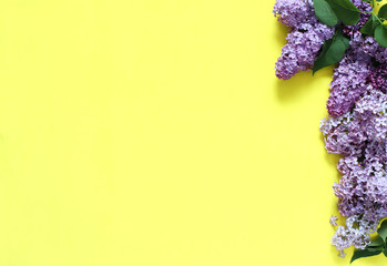 Lilac flowers on yellow background.