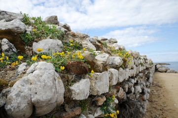 Scenic view of beautiful rocky pier with yellow wildflowers; blue sea against sky. Sabaudia, Lazio,...
