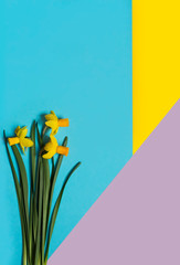 Flowers on geometry color background. Minimal art design