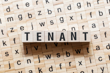 Tenant word concept on cubes