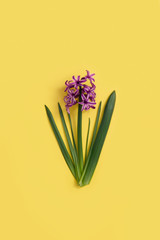 Flowers on yellow color background. Minimal art design
