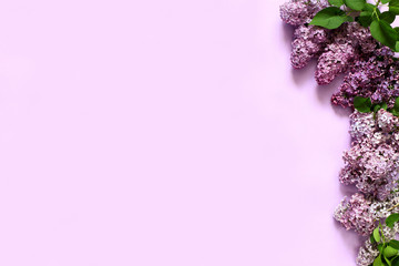 Lilac flowers on purple background.