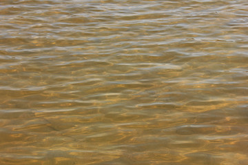 Muddy water surface on sandy river bottom