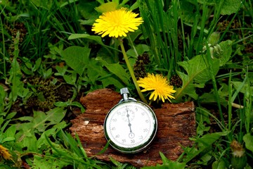 Stopwatch is an instrument capable of measuring time intervals with an accuracy of fractions of a...