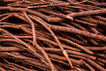 Cut tree timber. Background image of a cut tree. Pile of wood logs. Natural wooden background.