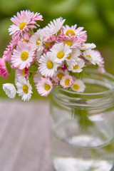 Bouquet of daisies flowers in a glass jar vase in summer on wooden boards in the garden on a green background