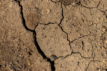 Texture of cracked dry ground for background