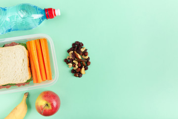 Healthy eating a sandwich in lunchbox