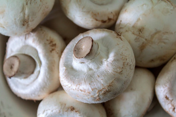 Pile of Champignon mushrooms background