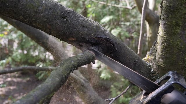 Saber saw cuts the tree branch.