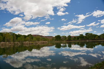 Obraz na płótnie Canvas Reflections in Arizona