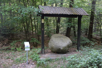 Wolfsstock in Dietzenbach