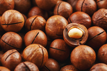 Macadamia nuts in large quantities in bulk in the form of the texture of fresh natural fruit...
