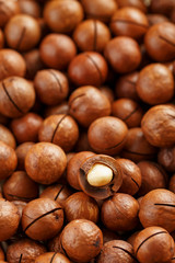 Macadamia nuts in large quantities in bulk in the form of the texture of fresh natural fruit shelled one nut in the frame close-up view