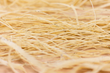 Various mix of uncooked pasta in on on a wooden cutting board in bright colors. Different kind of dry macaroni. Italian foods concept of spaghetti and menu design.