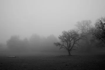 Fotobehang Paisaje niebla terror © Ludwing