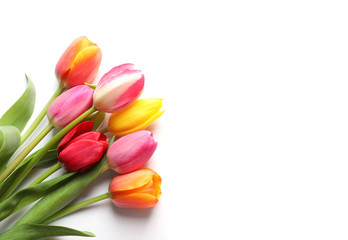 Beautiful spring tulip flowers on white background, top view