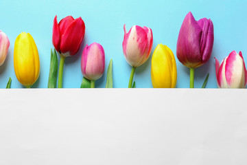 Beautiful spring tulip flowers and card on color background, top view. Space for text