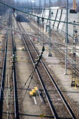 Electric cables in railway in very good condition in Germany