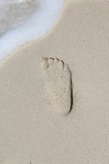 bbq bar wedding food animals beach