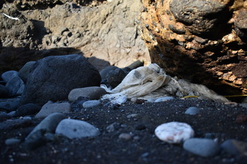 Contaminación plástico en la playa