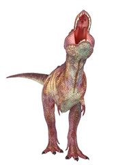 tyrannosaurus rex in white background