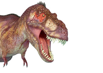 tyrannosaurus rex in white background