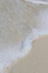 bbq bar wedding food animals beach