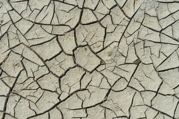 Abstract background. Cracked and dried ground.