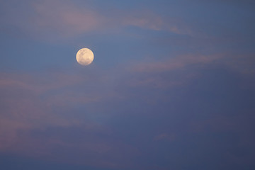 Night sky background